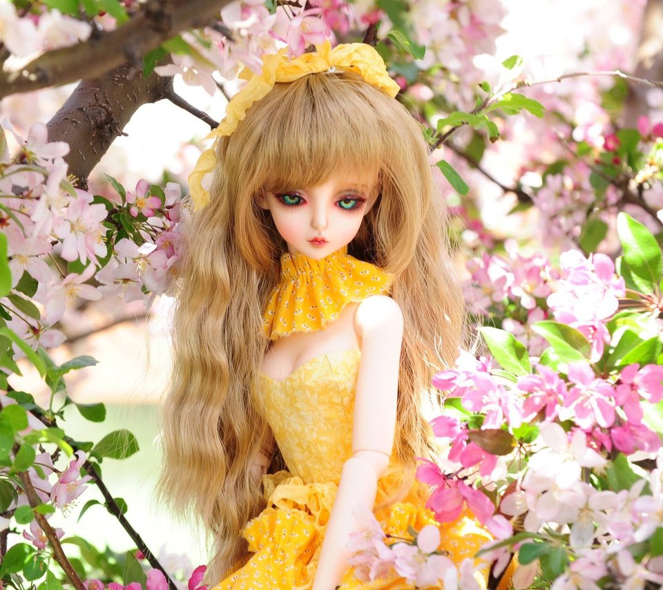 Обои цветы, природа, игрушка, кукла, вишня, flowers, nature, toy, doll, cherry разрешение 2048x1360 Загрузить