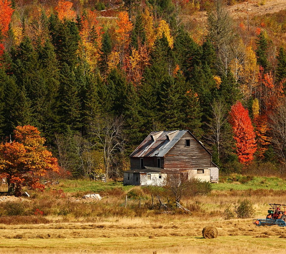 Обои природа, лес, поле, сено, осень, дом, трактор, nature, forest, field, hay, autumn, house, tractor разрешение 2592x1728 Загрузить