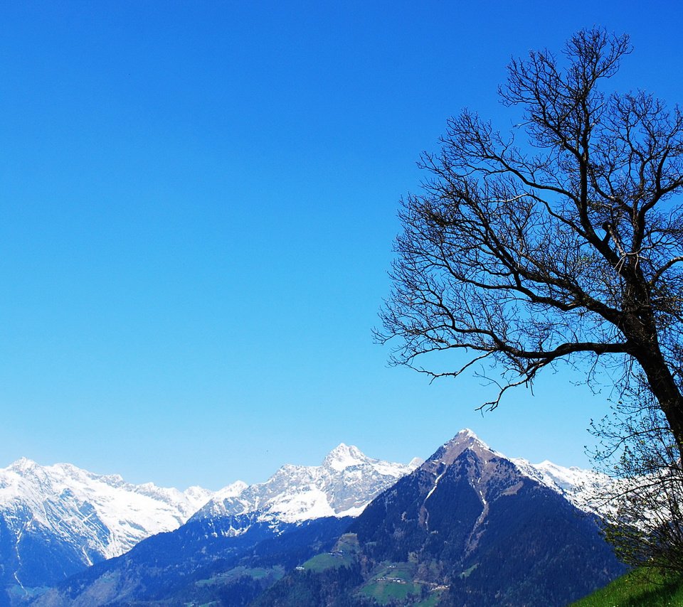 Обои небо, горы, природа, дерево, пейзаж, снежные вершины, the sky, mountains, nature, tree, landscape, snowy peaks разрешение 2560x1584 Загрузить