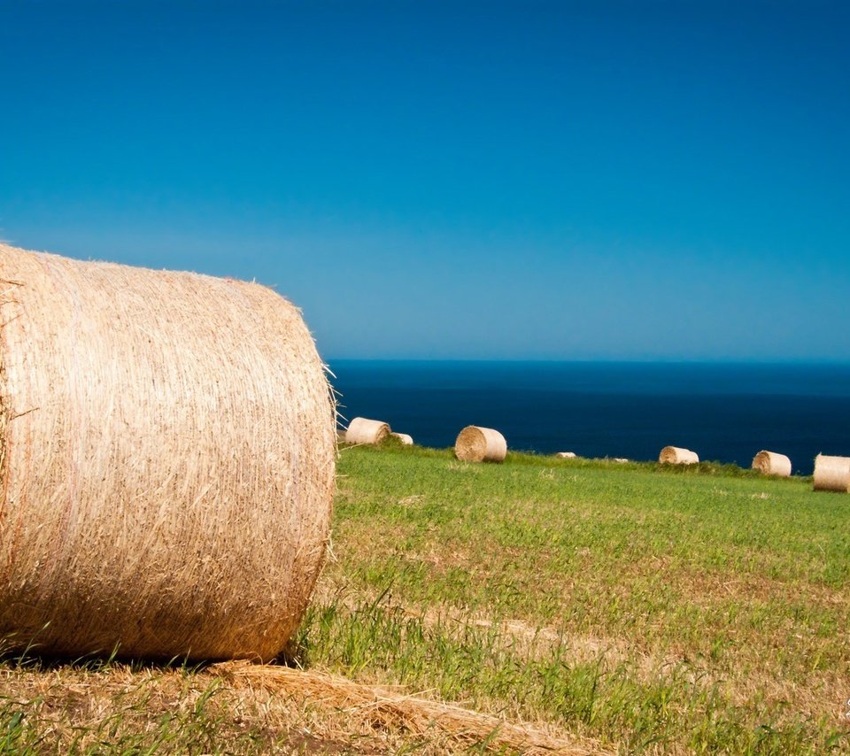 Обои небо, трава, пейзаж, поле, сено, австралия, тюки, рулоны, the sky, grass, landscape, field, hay, australia, bales, rolls разрешение 1920x1200 Загрузить