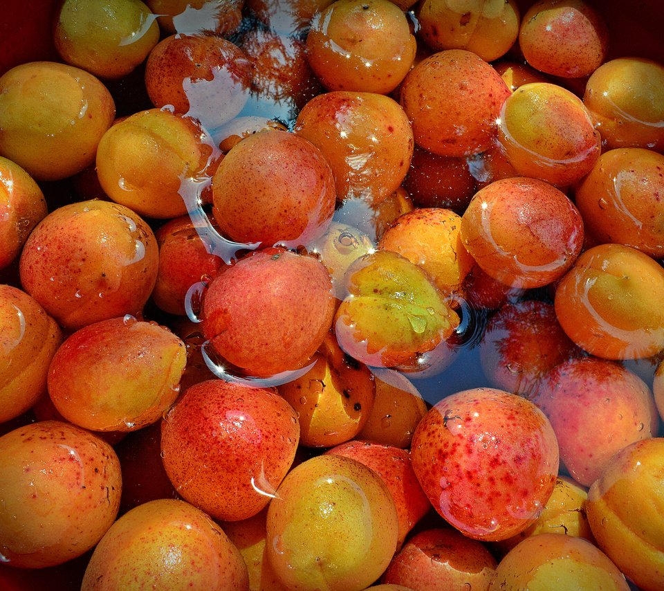 Фрукты абрикос