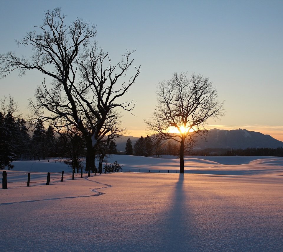 Обои небо, деревья, природа, закат, зима, the sky, trees, nature, sunset, winter разрешение 2074x1382 Загрузить