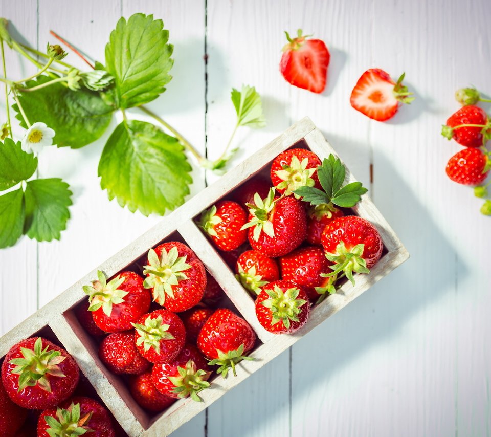 Обои листья, ягода, клубника, свежие ягоды, leaves, berry, strawberry, fresh berries разрешение 5000x3563 Загрузить
