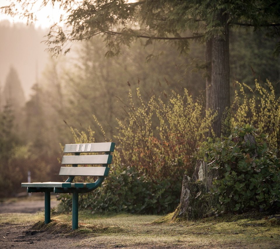 Обои парк, город, скамья, park, the city, bench разрешение 1920x1290 Загрузить