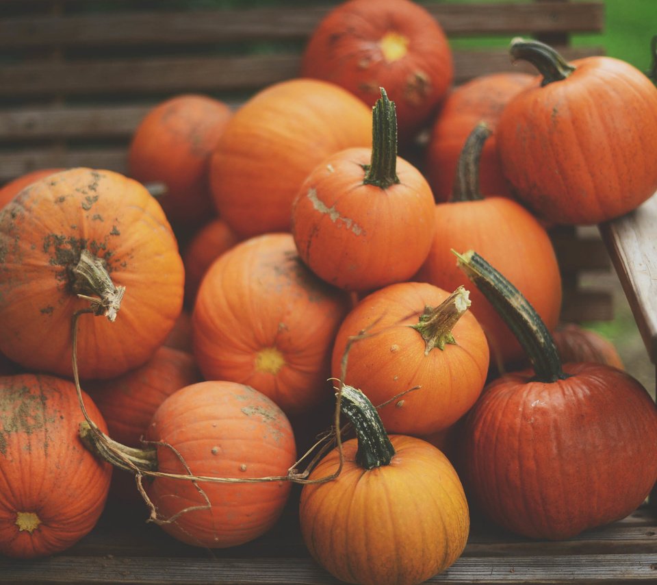 Обои скамейка, урожай, овощи, тыква, bench, harvest, vegetables, pumpkin разрешение 3008x2008 Загрузить