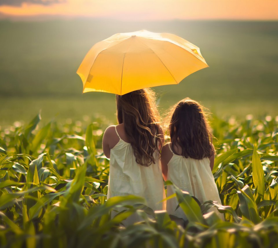 Обои поле, девочки, зонтик, field, girls, umbrella разрешение 2048x1494 Загрузить
