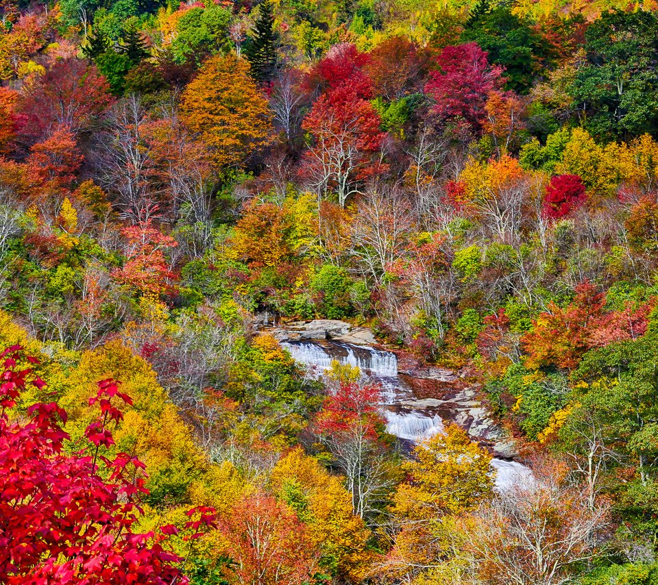 Обои деревья, осень, поток, речка, trees, autumn, stream, river разрешение 2048x1365 Загрузить