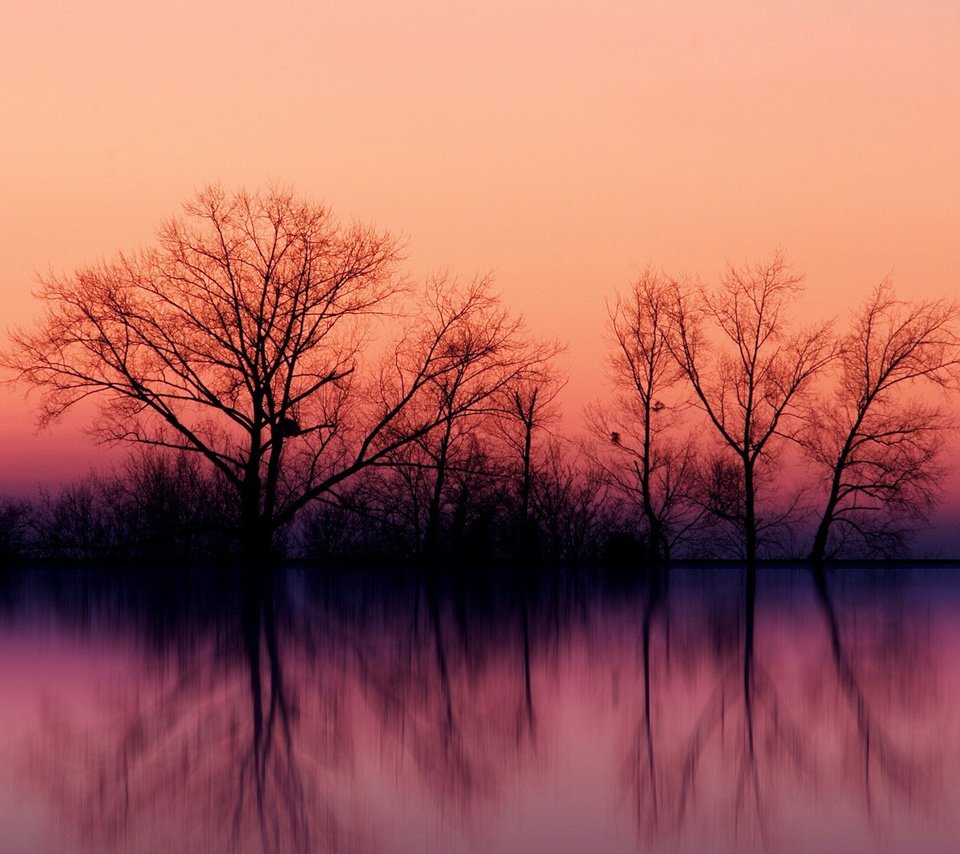 Обои небо, деревья, вода, озеро, закат, отражение, осень, the sky, trees, water, lake, sunset, reflection, autumn разрешение 1920x1200 Загрузить