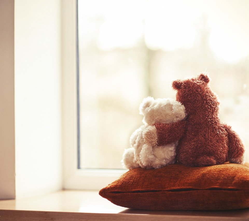 Обои мишки, игрушки, окно, подушка, мягкие, bears, toys, window, pillow, soft разрешение 4256x2832 Загрузить