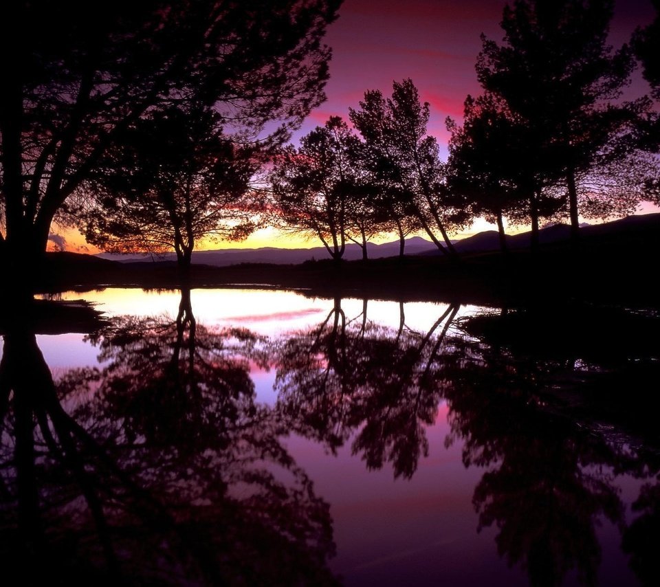 Обои деревья, вода, вечер, озеро, закат, отражение, силуэты, trees, water, the evening, lake, sunset, reflection, silhouettes разрешение 1920x1200 Загрузить