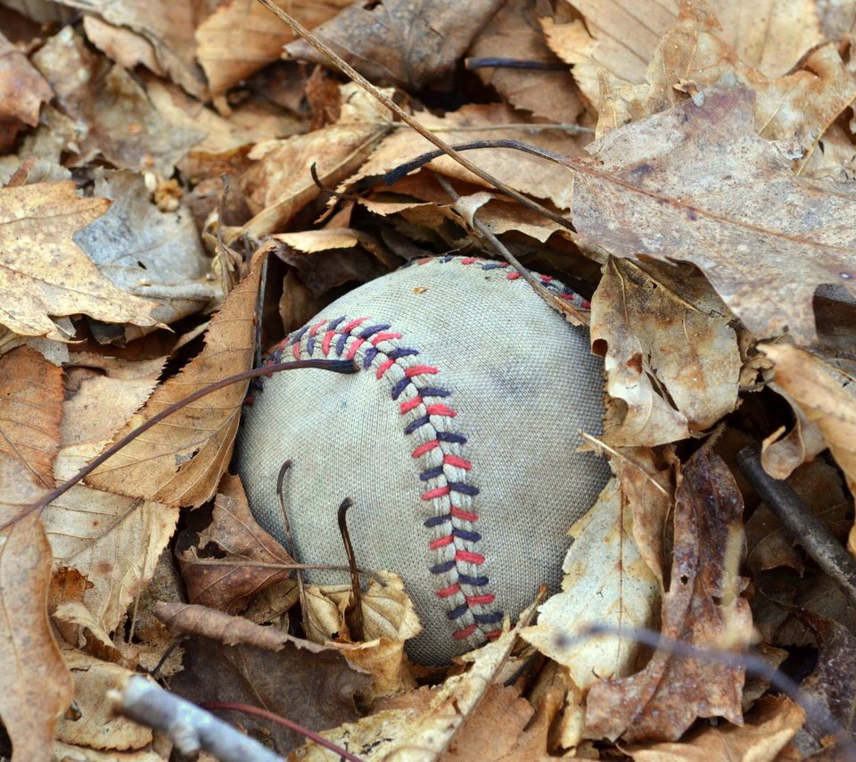 Обои листья, макро, осень, мяч, осенние, мяч.листья, leaves, macro, autumn, the ball, the ball.leaves разрешение 2560x1600 Загрузить