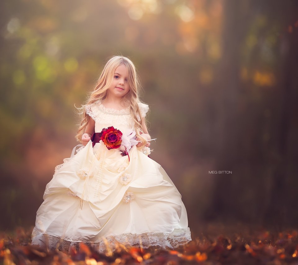 Обои природа, платье, роза, дети, девочка, nature, dress, rose, children, girl разрешение 2048x1462 Загрузить