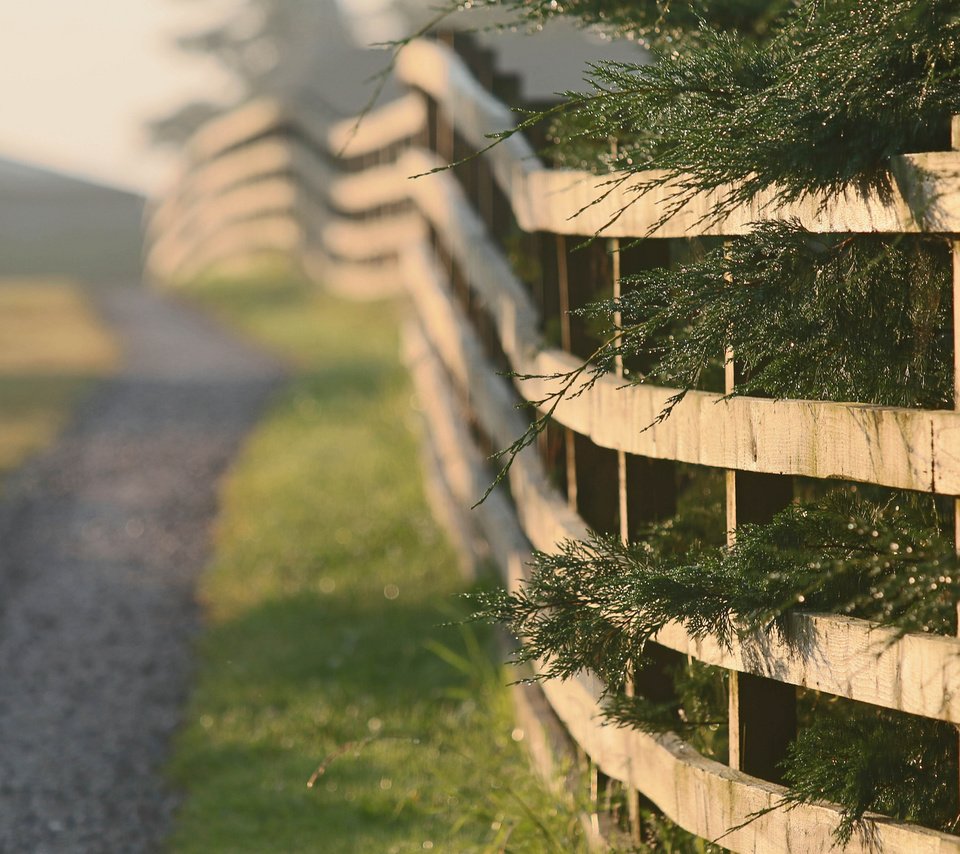 Обои дорога, природа, утро, забор, road, nature, morning, the fence разрешение 2048x1365 Загрузить