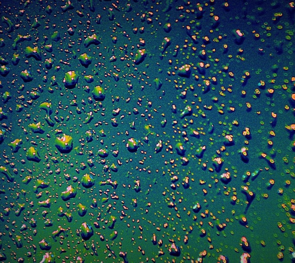 Обои вода, текстура, зелёный, фон, капли, воды, капли дождя, marta diarra, water, texture, green, background, drops, raindrops разрешение 1936x1280 Загрузить