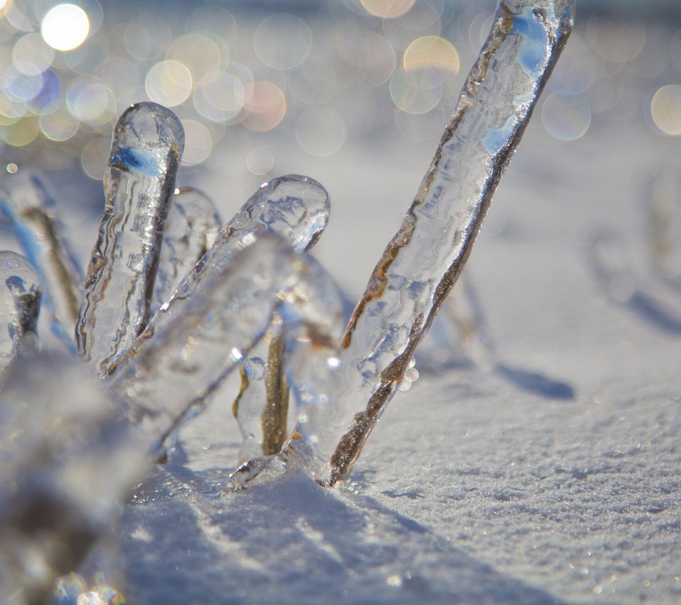 Обои снег, зима, макро, лёд, боке, snow, winter, macro, ice, bokeh разрешение 2048x1365 Загрузить