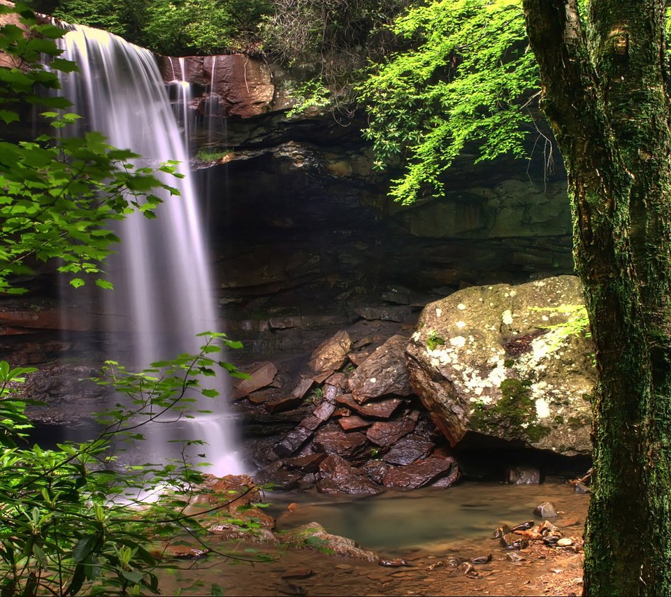 Обои деревья, вода, природа, камни, зелень, растения, водопад, trees, water, nature, stones, greens, plants, waterfall разрешение 1920x1200 Загрузить