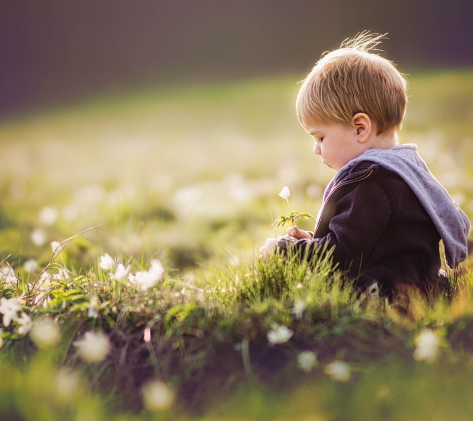 Обои цветы, трава, лето, дети, ребенок, мальчик, flowers, grass, summer, children, child, boy разрешение 1920x1280 Загрузить