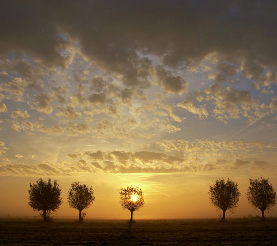 Обои небо, деревья, закат, пейзаж, поле, the sky, trees, sunset, landscape, field разрешение 1920x1200 Загрузить