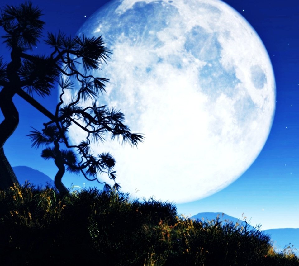 Обои небо, ночь, вода, природа, дерево, луна, остров, the sky, night, water, nature, tree, the moon, island разрешение 1920x1200 Загрузить