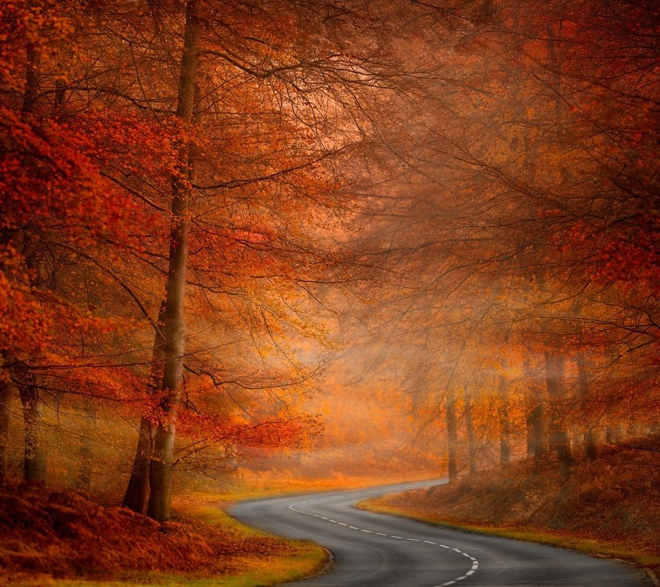 Обои дорога, деревья, природа, осень, road, trees, nature, autumn разрешение 2048x1344 Загрузить