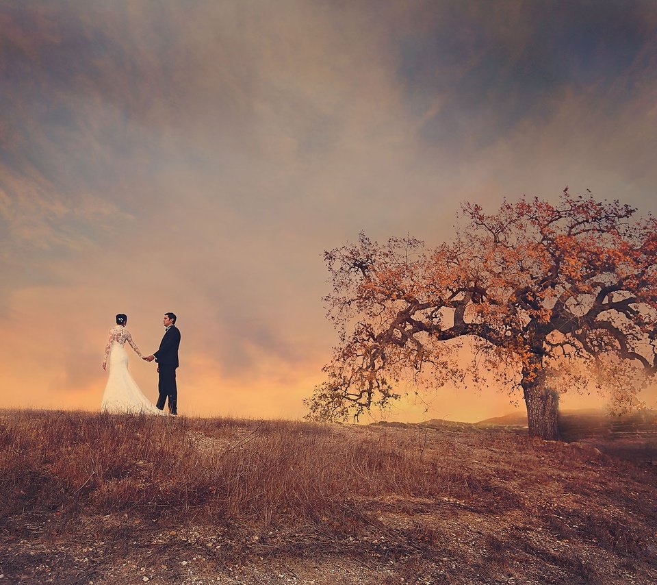 Обои небо, дерево, поле, пара, жених, невеста, свадебное платье, the sky, tree, field, pair, the groom, the bride, wedding dress разрешение 2048x1408 Загрузить
