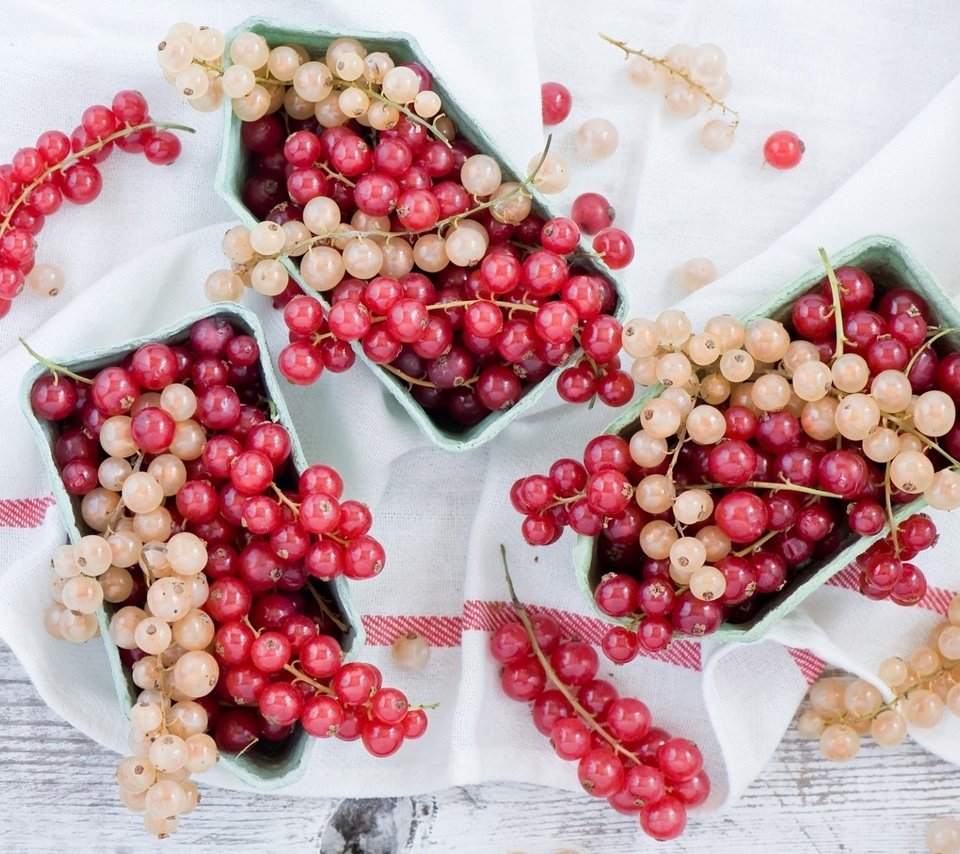 Обои красная, ягоды, белая, смородина, кисти, red, berries, white, currants, brush разрешение 1920x1292 Загрузить