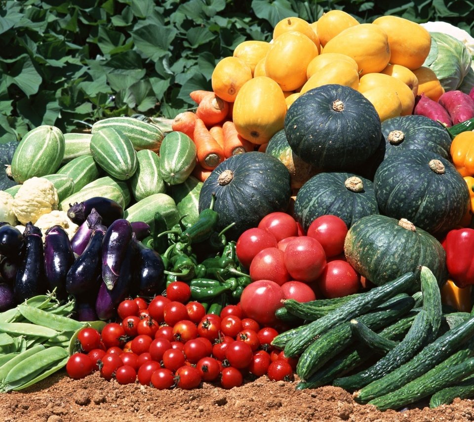 цены на семена овощных культур