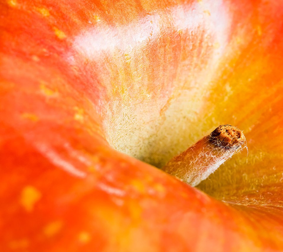 Обои макро, фрукты, плод, яблоко, красное, хвостик, macro, fruit, the fruit, apple, red, ponytail разрешение 1920x1200 Загрузить