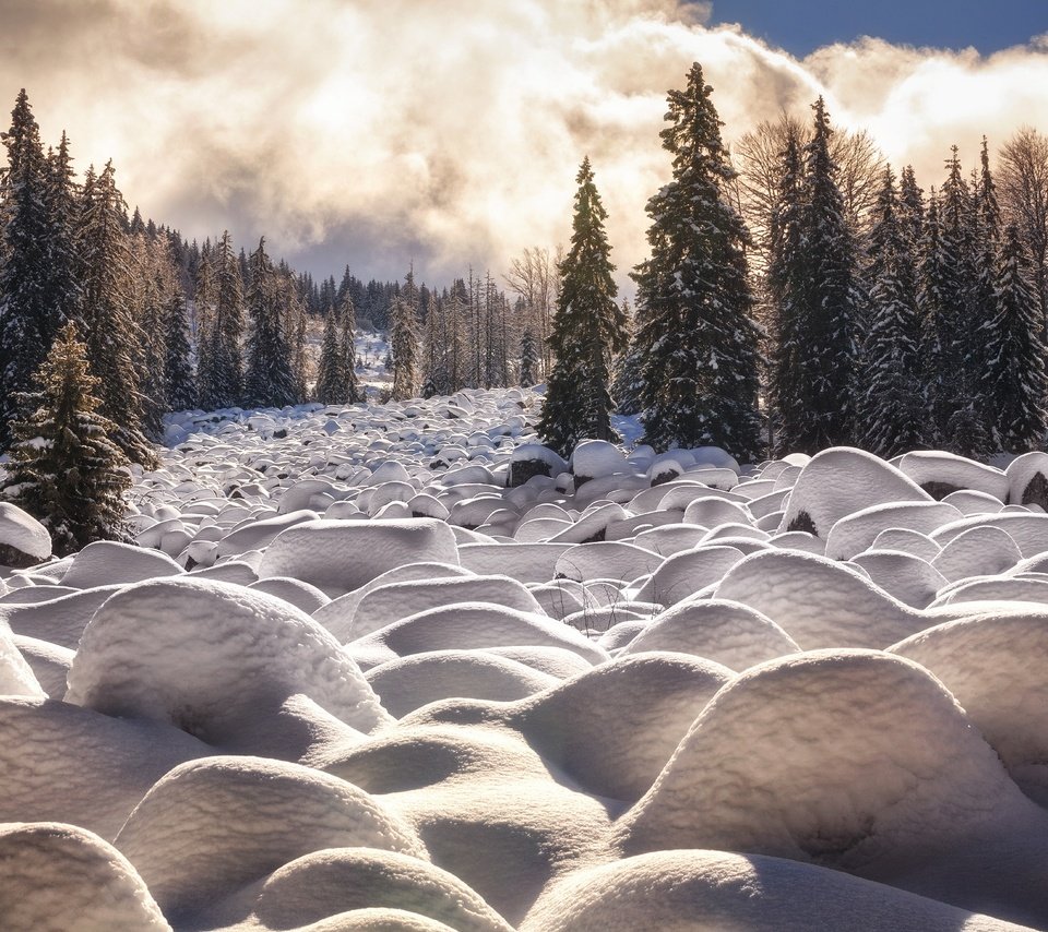 Обои облака, деревья, снег, камни, лес, зима, winter cascade, martin stantchev, clouds, trees, snow, stones, forest, winter разрешение 2048x1365 Загрузить