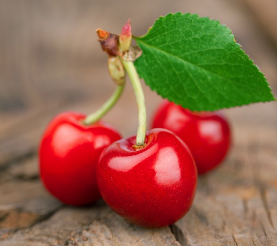 Обои черешня, веточка, ягоды, вишня, листик, cherry, sprig, berries, leaf разрешение 3500x2280 Загрузить