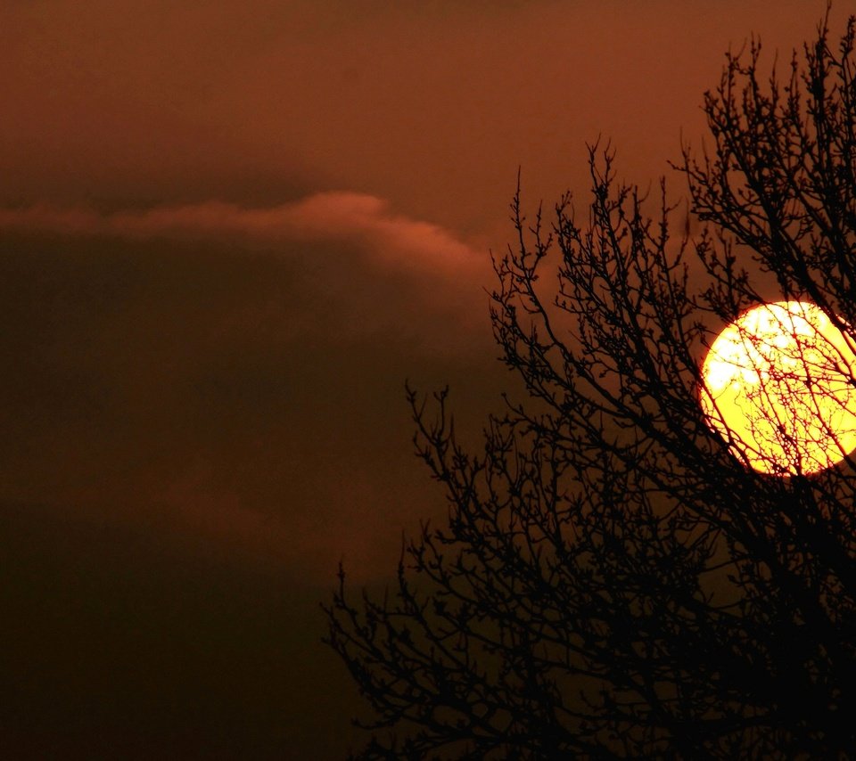 Обои небо, облака, солнце, дерево, закат, силуэт, the sky, clouds, the sun, tree, sunset, silhouette разрешение 2048x1365 Загрузить