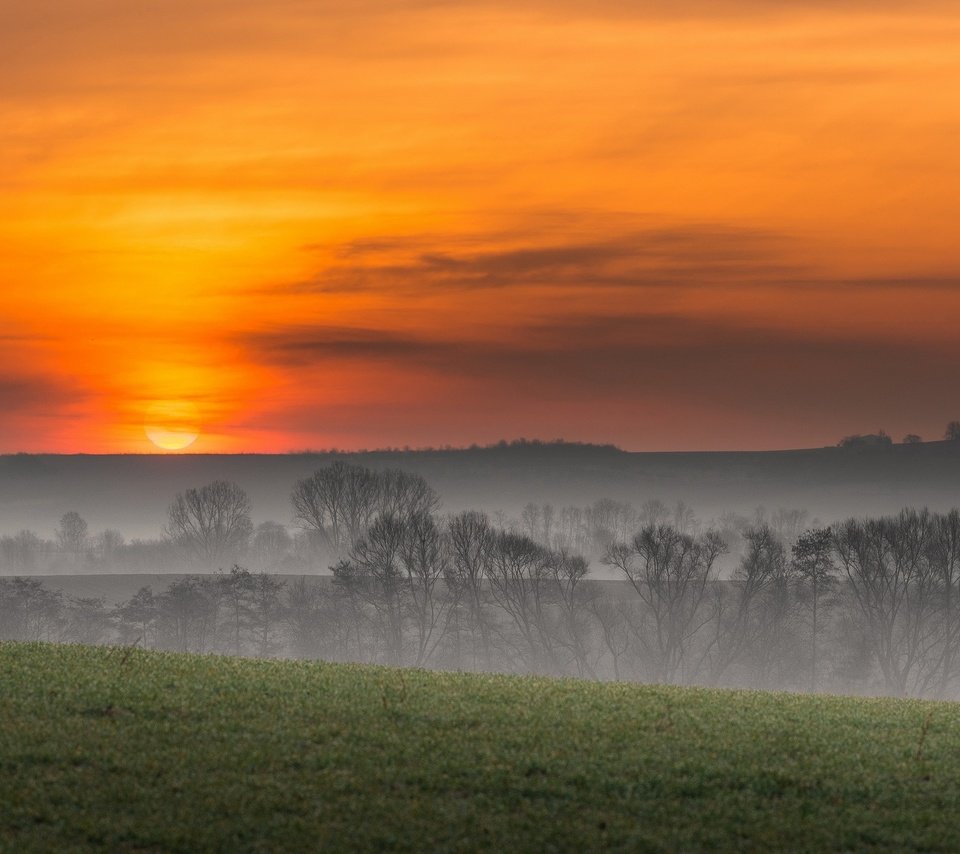 Обои небо, деревья, пейзаж, утро, туман, поле, the sky, trees, landscape, morning, fog, field разрешение 2776x1440 Загрузить