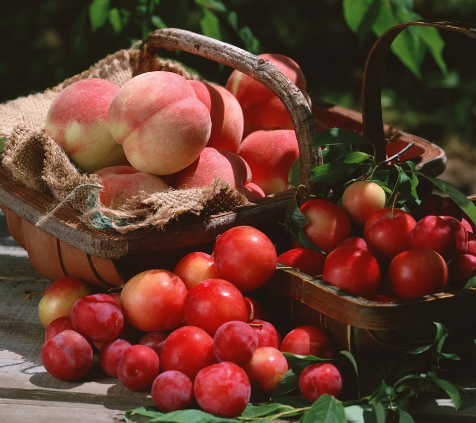 Обои фрукты, корзина, урожай, персики, сливы, fruit, basket, harvest, peaches, plum разрешение 1920x1362 Загрузить