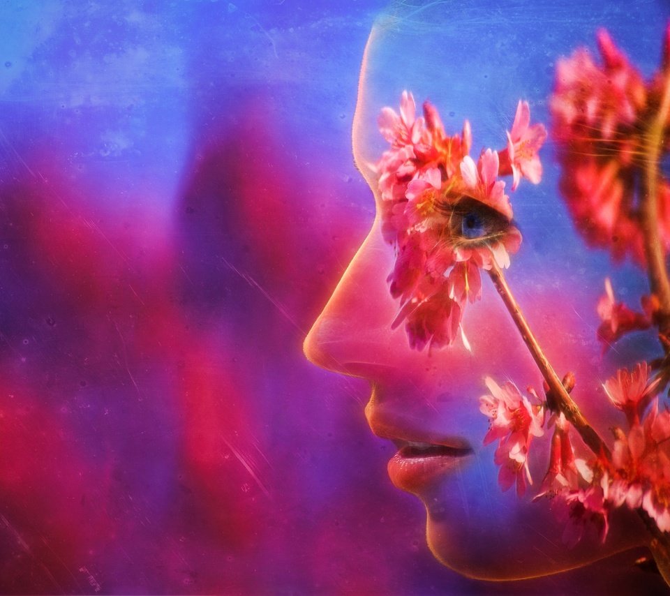 Обои цветы, ветка, абстракция, профиль, весна, лицо, flowers, branch, abstraction, profile, spring, face разрешение 2048x1365 Загрузить