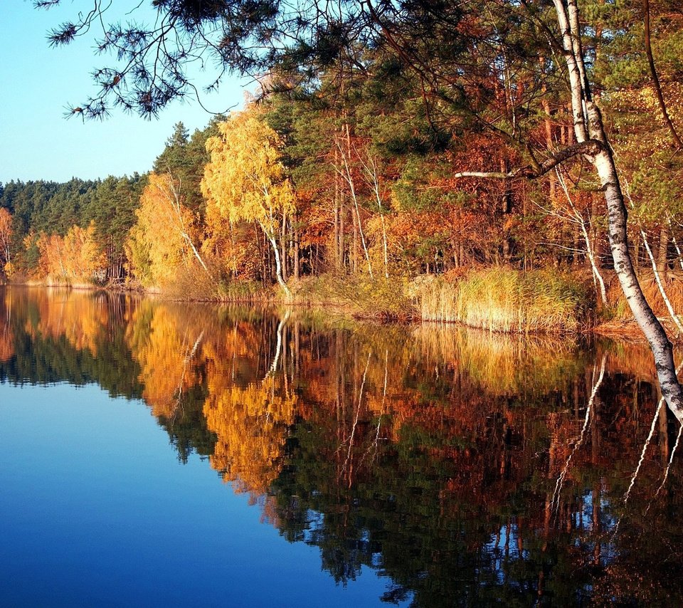 Обои деревья, озеро, природа, осень, trees, lake, nature, autumn разрешение 1920x1200 Загрузить