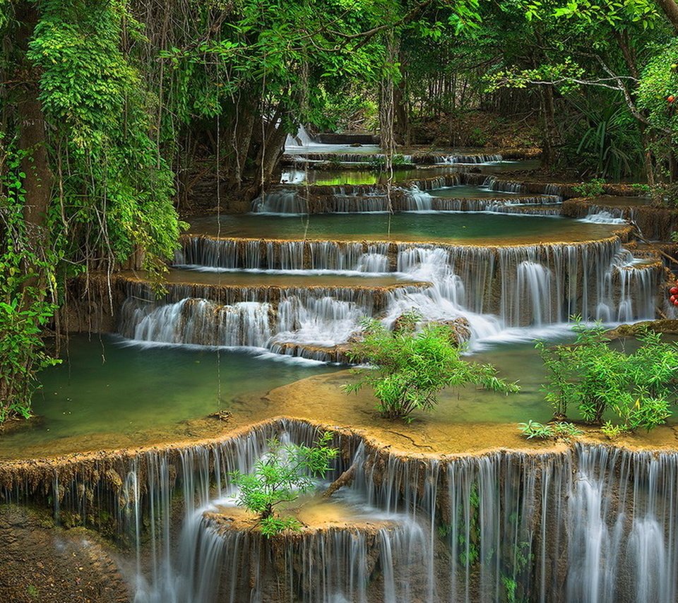 Обои зелень, лес, водопад, красота, поток, каскад, дремучий, greens, forest, waterfall, beauty, stream, cascade, dense разрешение 1920x1200 Загрузить