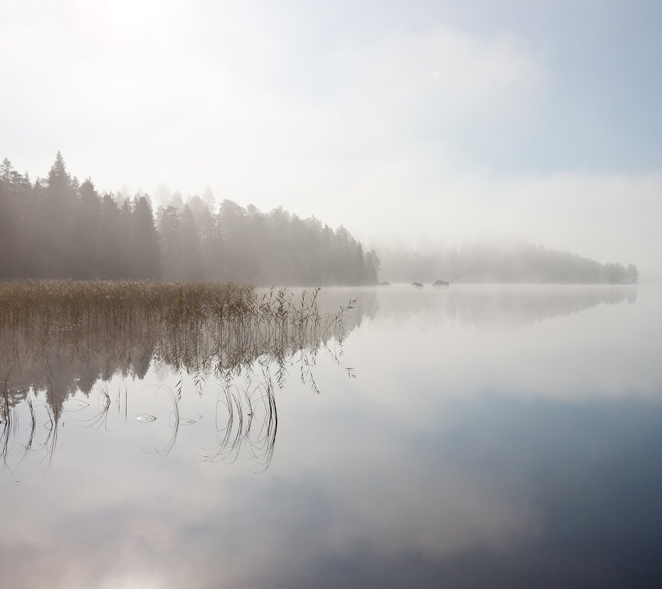 Обои небо, деревья, река, отражение, пейзаж, туман, the sky, trees, river, reflection, landscape, fog разрешение 3360x2100 Загрузить