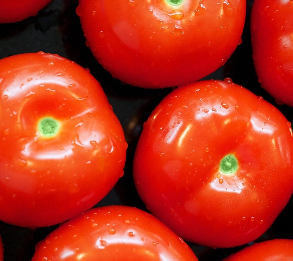 Обои капли, овощи, помидоры, томат, drops, vegetables, tomatoes, tomato разрешение 2560x1440 Загрузить