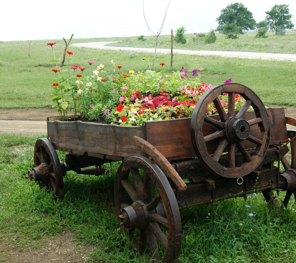 Обои цветы, природа, поле, телега, flowers, nature, field, cart разрешение 2560x1600 Загрузить