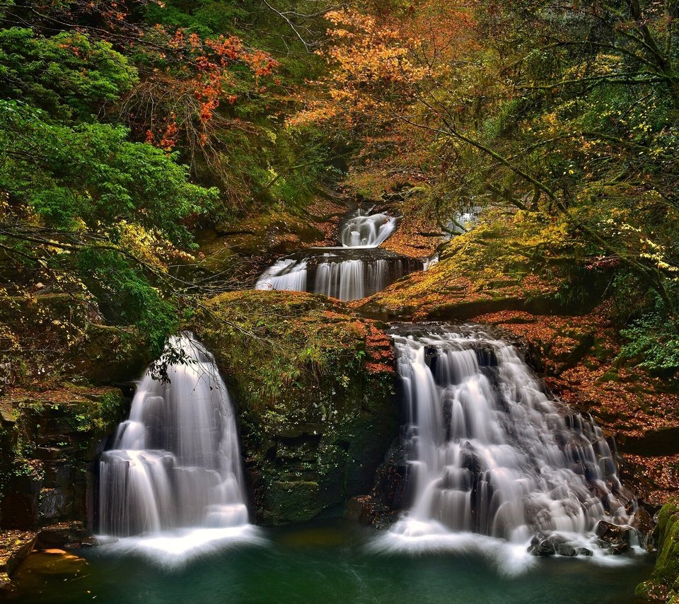 Обои деревья, лес, осень, япония, водопады, каскад, набари, trees, forest, autumn, japan, waterfalls, cascade, nabari разрешение 2400x1554 Загрузить