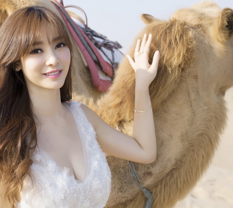 Обои девушка, животные, пустыня, азиатка, верблюд, girl, animals, desert, asian, camel разрешение 2880x1800 Загрузить