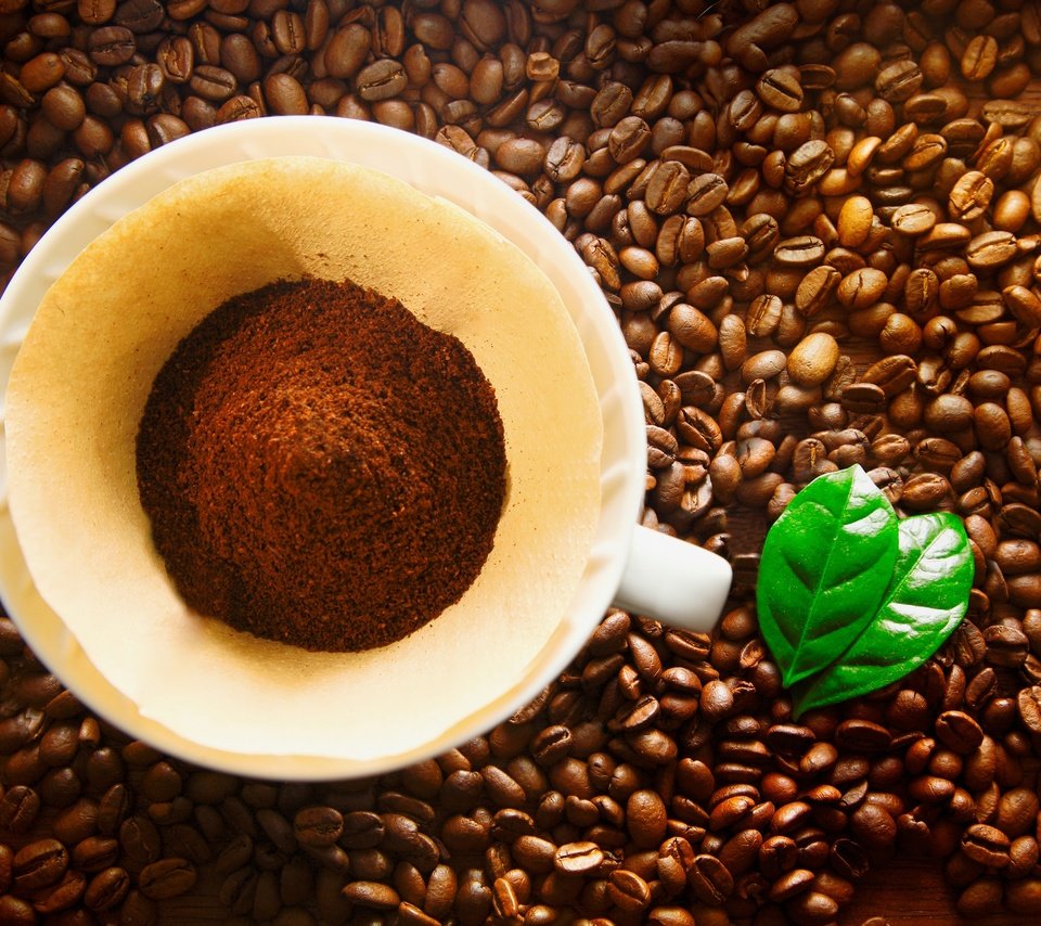 Обои кофе, чашка, кофейные зерна, кубок, бобы, coffee, cup, coffee beans, beans разрешение 2880x1920 Загрузить