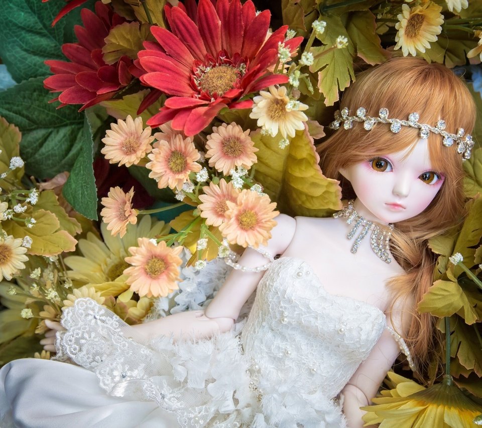 Обои цветы, игрушка, кукла, flowers, toy, doll разрешение 1920x1280 Загрузить