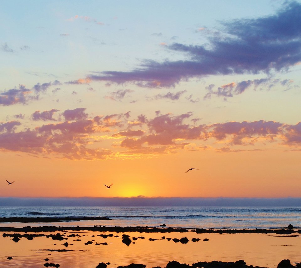 Обои море, пляж, рассвет, чайки, sea, beach, dawn, seagulls разрешение 4874x2655 Загрузить