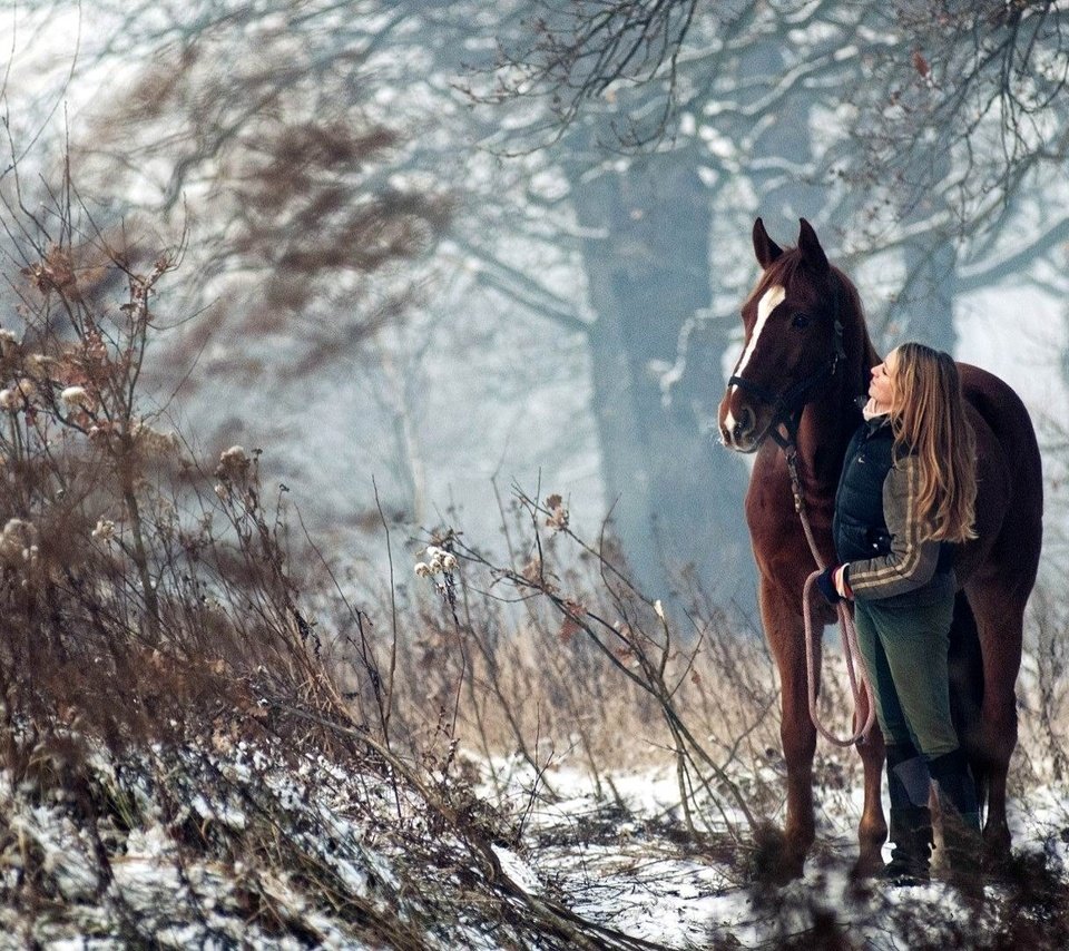 Обои лошадь, деревья, снег, лес, девушка, конь, наездница, horse, trees, snow, forest, girl, rider разрешение 1920x1080 Загрузить