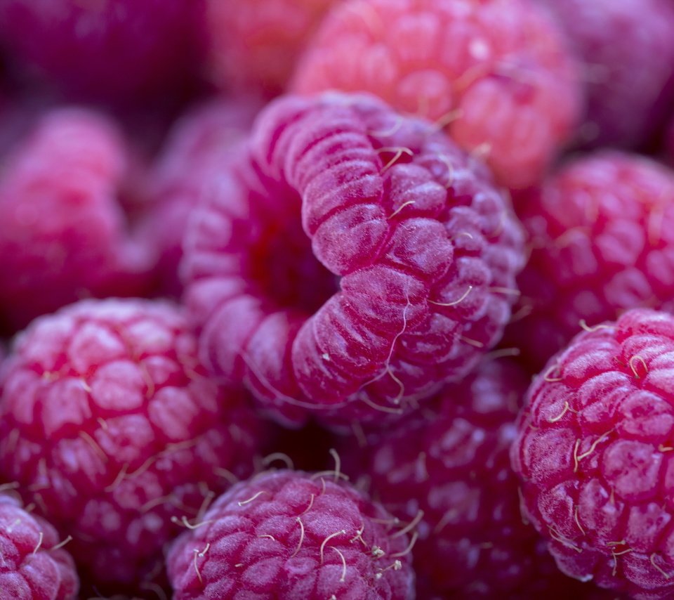 Обои макро, малина, ягоды, macro, raspberry, berries разрешение 2560x1707 Загрузить