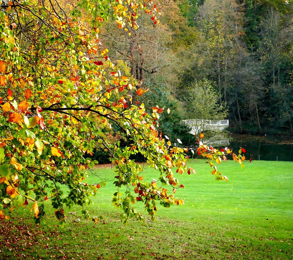 Обои деревья, пейзаж, поле, мост, лондон, осень, hampstead heath, trees, landscape, field, bridge, london, autumn разрешение 4327x2310 Загрузить