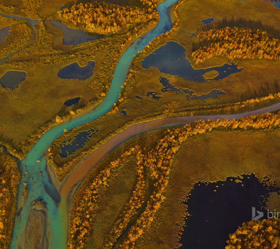 Обои деревья, река, панорама, краски, осень, швеция, sarek national park, trees, river, panorama, paint, autumn, sweden разрешение 1920x1200 Загрузить
