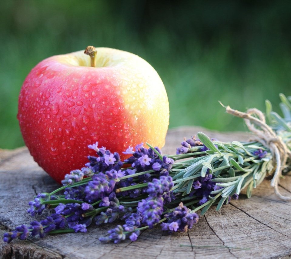 Обои цветы, лаванда, плод, фрукт, яблоко, flowers, lavender, the fruit, fruit, apple разрешение 1920x1238 Загрузить