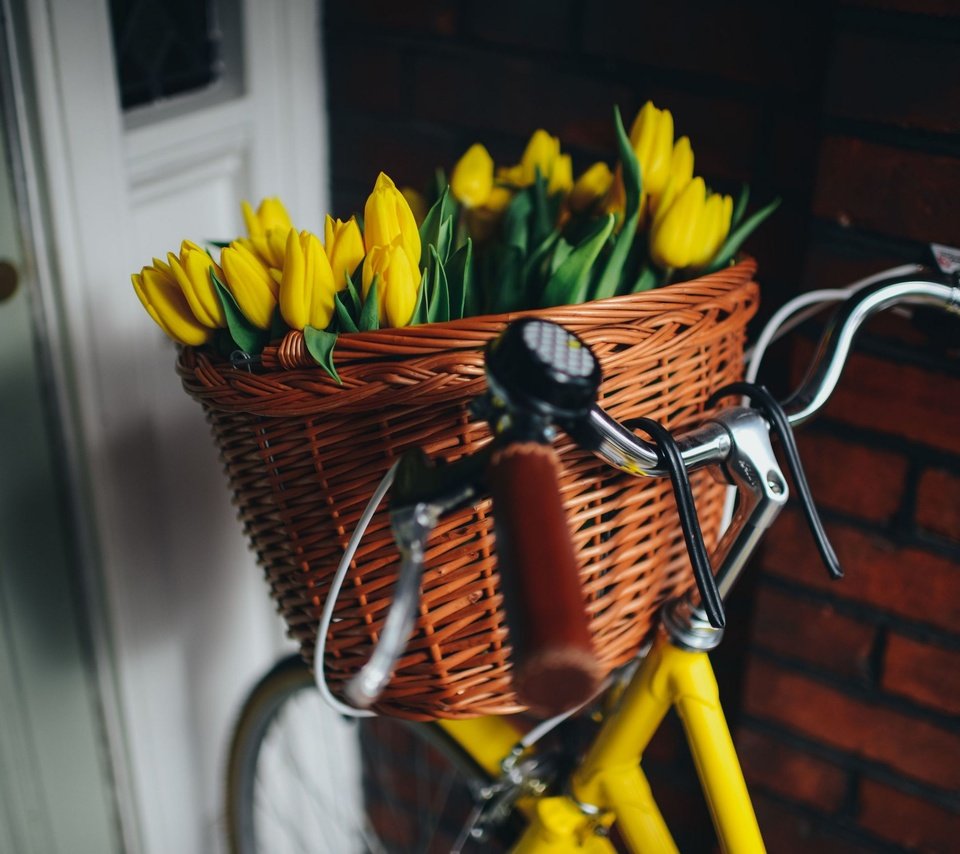 Обои цветы, корзина, тюльпаны, красивые, велосипед, flowers, basket, tulips, beautiful, bike разрешение 2880x1922 Загрузить